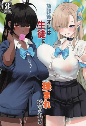 海贼王 - 路飞的海贼王梦想之旅